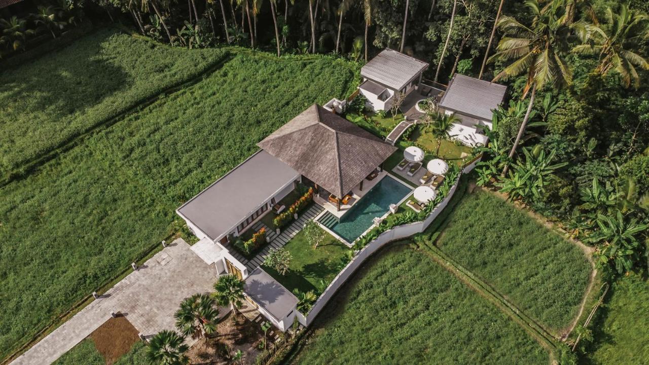 Umah Shama Villa Ubud Dış mekan fotoğraf