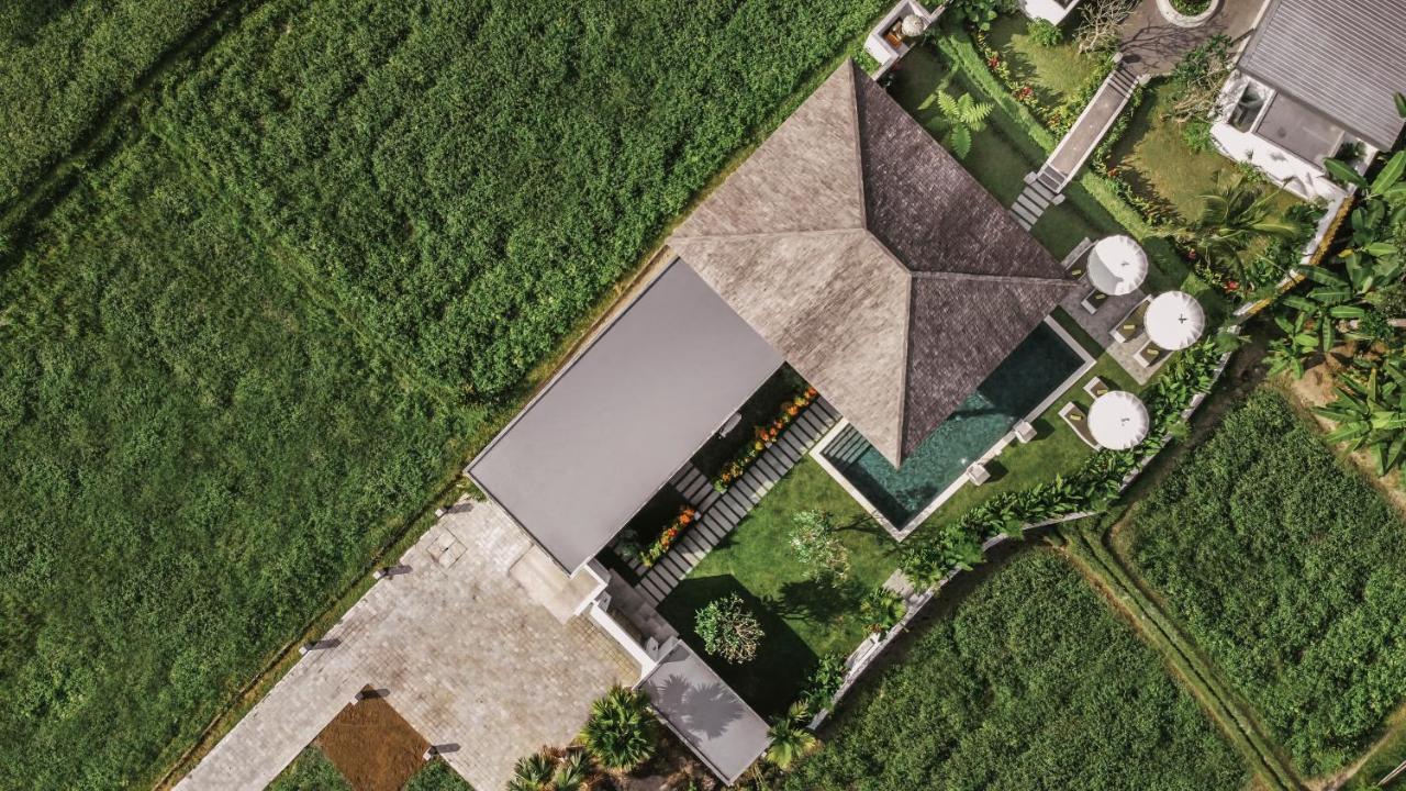 Umah Shama Villa Ubud Dış mekan fotoğraf